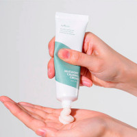 Успокаивающий крем с полынью от Isntree