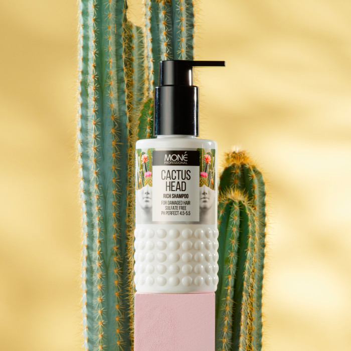 Шампунь для сухих и поврежденных волос от Mone